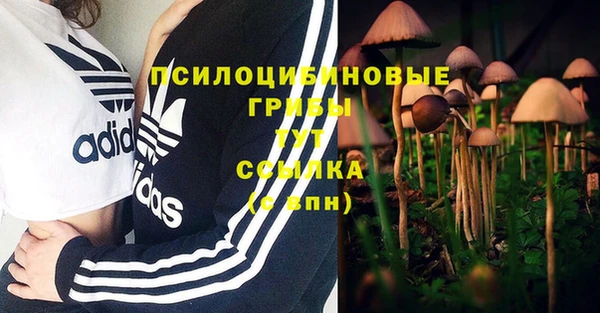 герыч Абаза
