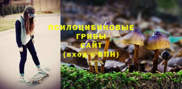 ALPHA PVP Абдулино