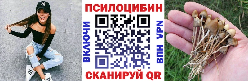 Псилоцибиновые грибы Psilocybe  ОМГ ОМГ ONION  Людиново 